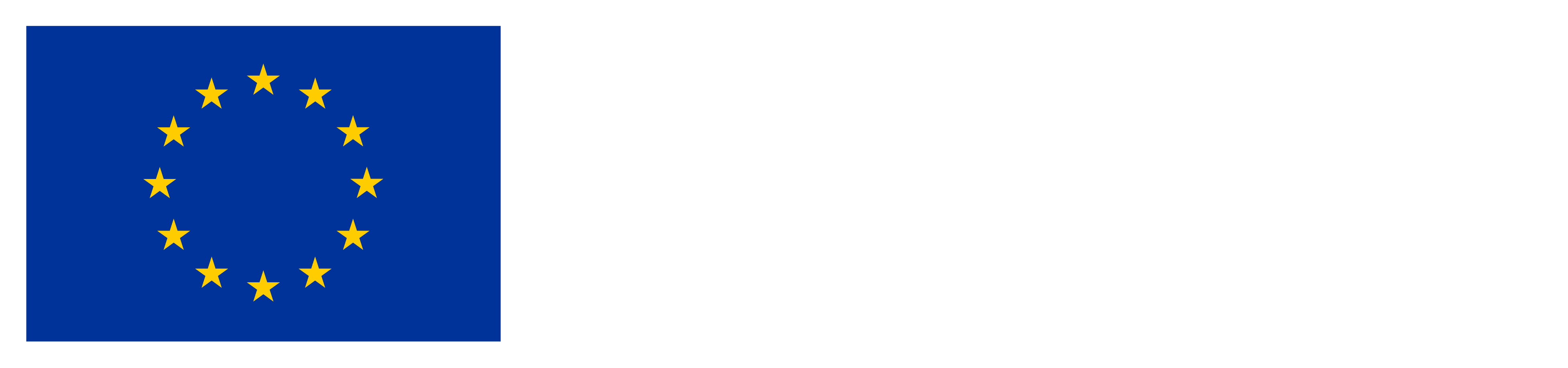 Co-funded by the European Union