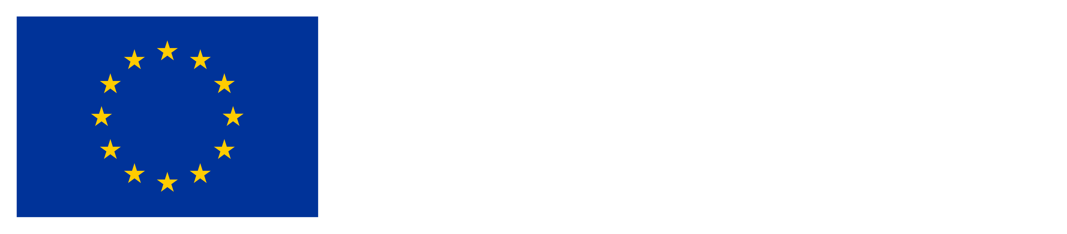 Co-funded by the European Union