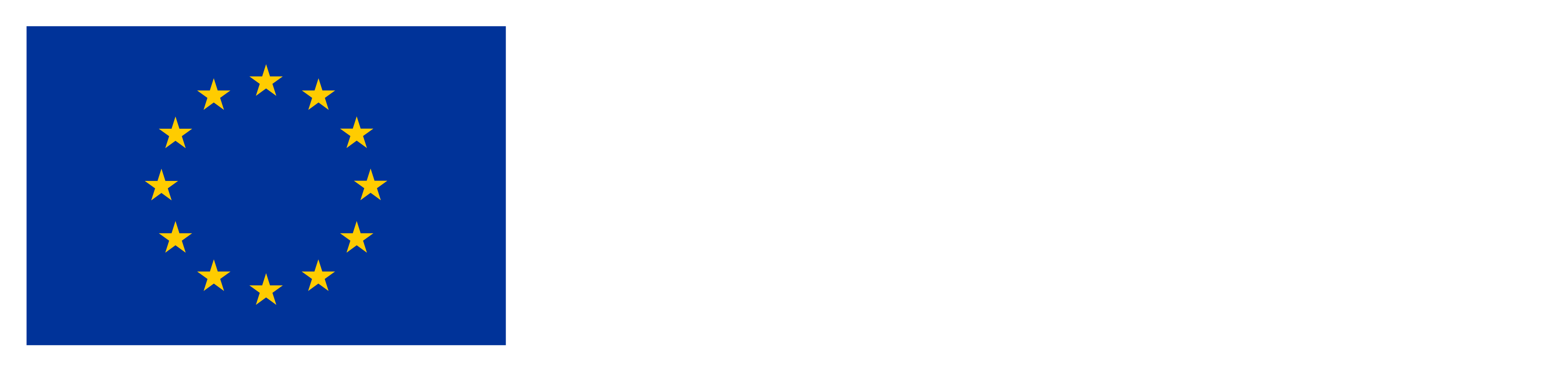 Co-funded by the European Union