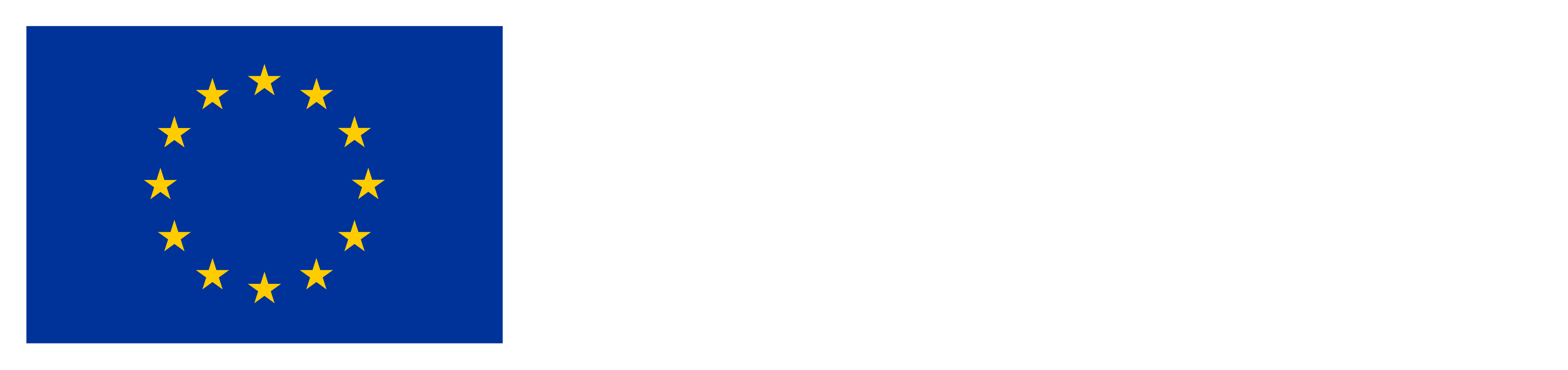 Co-funded by the European Union